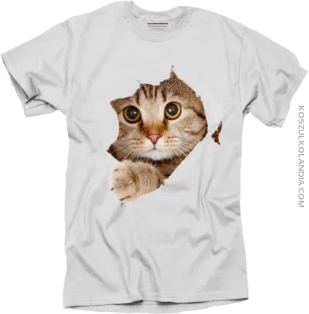 Koteczek 3d łapka - koszulka męska