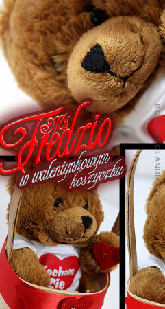 Miś Fredzio w Walentynkowym Koszyczku w koszulce z napisem Kocham Cię