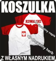 Koszulki Męskie