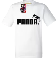 Pandy