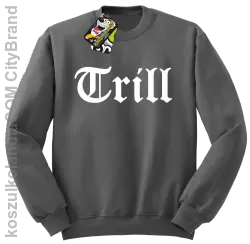 TRILL-bluza bez kaptura szara