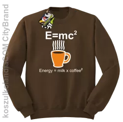 E = mc2 - Bluza STANDARD brąz