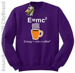 E = mc2 - Bluza STANDARD fiolet
