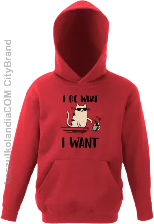 I do what I want Cat with glasses - bluza dziecięca z kapturem 