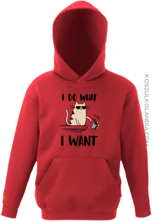 I do what I want Cat with glasses - bluza dziecięca z kapturem 