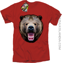 Miś Grizzly Real Foto - Koszulka Męska - Czerwony