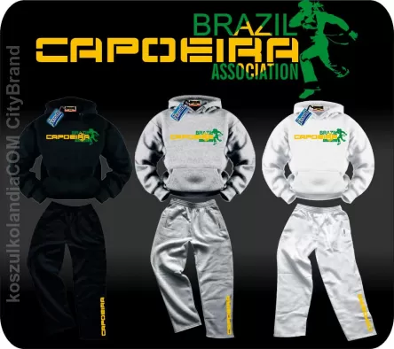 Brazil Capoeira Association - Dres 