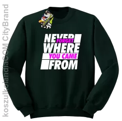 Never forget where you came from - Bluza męska standard bez kaptura butelkowa 