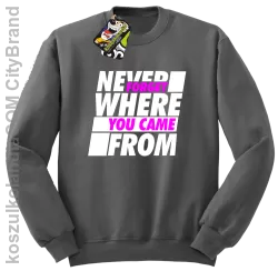 Never forget where you came from - Bluza męska standard bez kaptura szara 