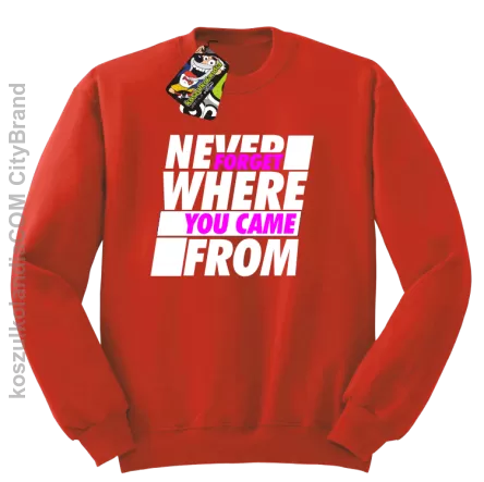 Never forget where you came from - Bluza męska standard bez kaptura czerwona 