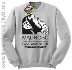 Mądrość nie zawsze przychodzi z wiekiem czasami wiek przychodzi sam - Bluza standard bez kaptura melanż 