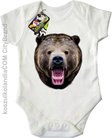 Miś Grizzly Real Foto -  Body dziecięce - Biały