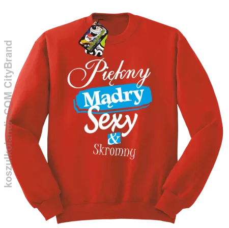 Piękny mądry sexy & skromny - Bluza Standard bez kaptura