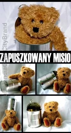 zapuszkowany misio ikona