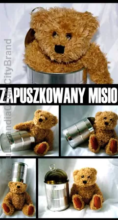 ZAPUSZKOWANY KOSMATY MIŚ - Miś w puszce - KUP 2 - dostaniesz 3 puszki z misiem!