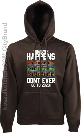 Whatever happens dont ever go to 2020 Back to the Future - bluza męska z kapturem 3