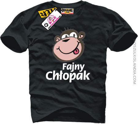 Fajny chłopak - superancka koszulka męska Nr KODIA00221