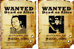 wanted koszulki