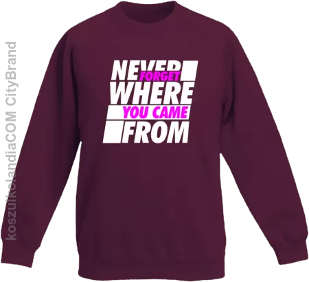 Never forget where you came from - Bluza dziecięca standard bez kaptura 