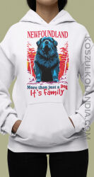 NEWFOUNDLAND More than just a Dog It`s Family - bluza z kapturem unisize  8 rozmiarów 43