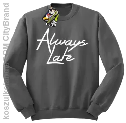 Always Late-Bluza bez kaptura szara