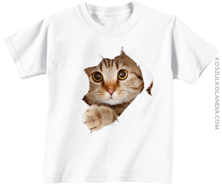 Koteczek 3d łapka -  koszulka dziecięca 