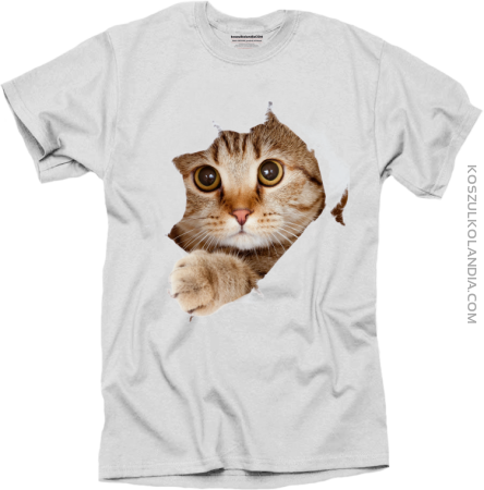 Koteczek 3d łapka - koszulka męska