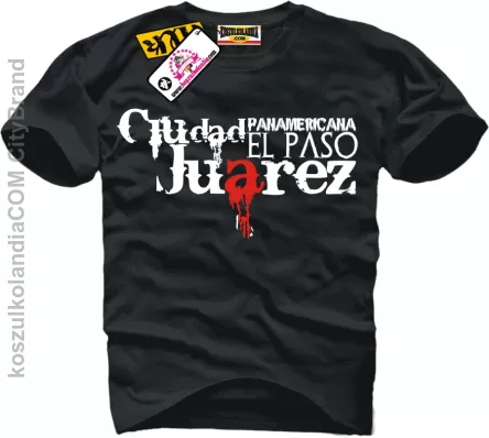 el paso