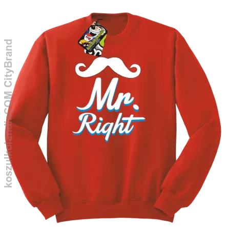 Mr Right example - Bluza STANDARD