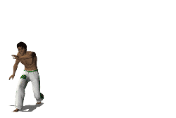 capoeira animacja